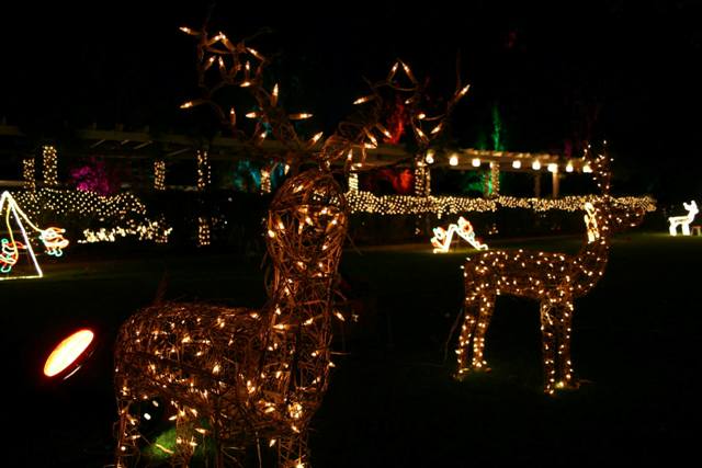 westminster school christmas lights 14 21 december 2017 westminster school christmas lights 14 21 december 2017