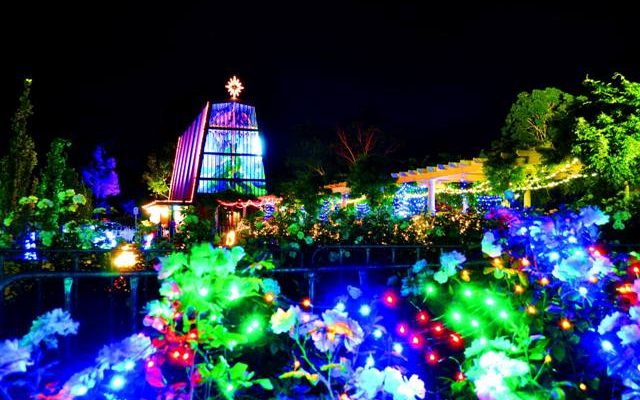 westminster school christmas lights 14 21 december 2017 westminster school christmas lights 14 21 december 2017