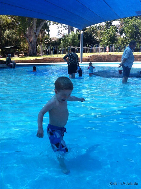 Tusmore Park Free Toddlers Pool _ Kids in Adelaide