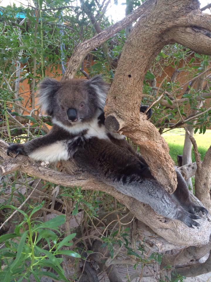 Urimbirra Wildlife Park