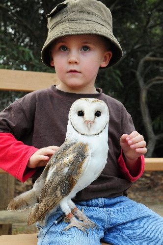 Mathew & Casper the Barn Owl