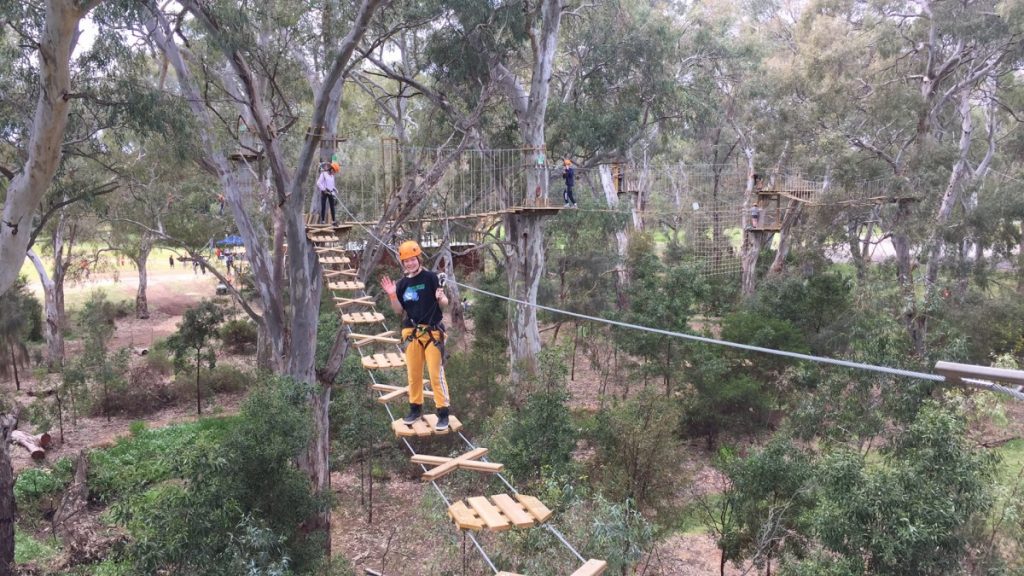 TreeClimb Adelaide